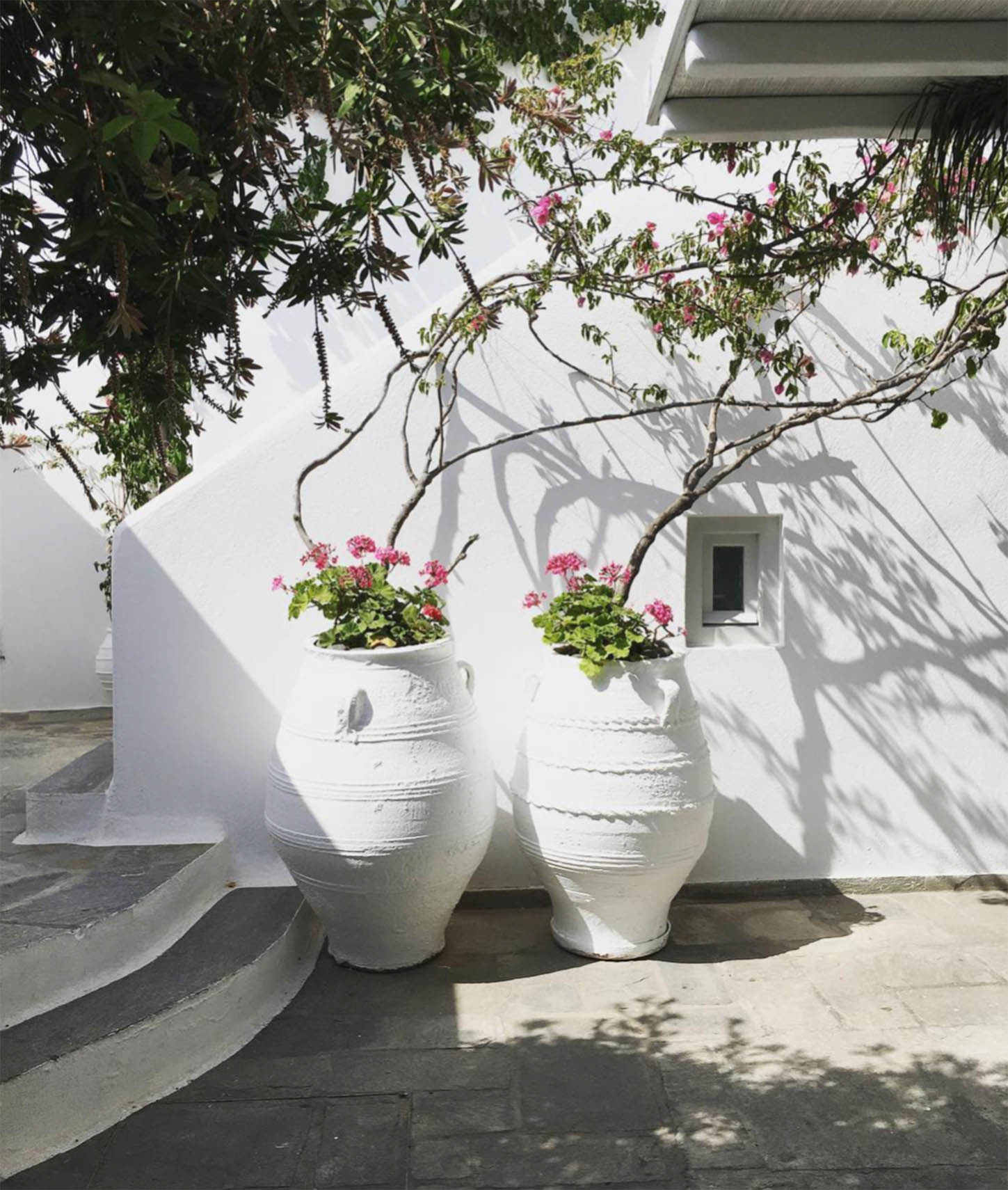 hotels-the belvedere-Greek Flowers hotels-the belvedere-Greek Flowers